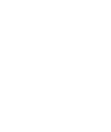 Nokian Panimo